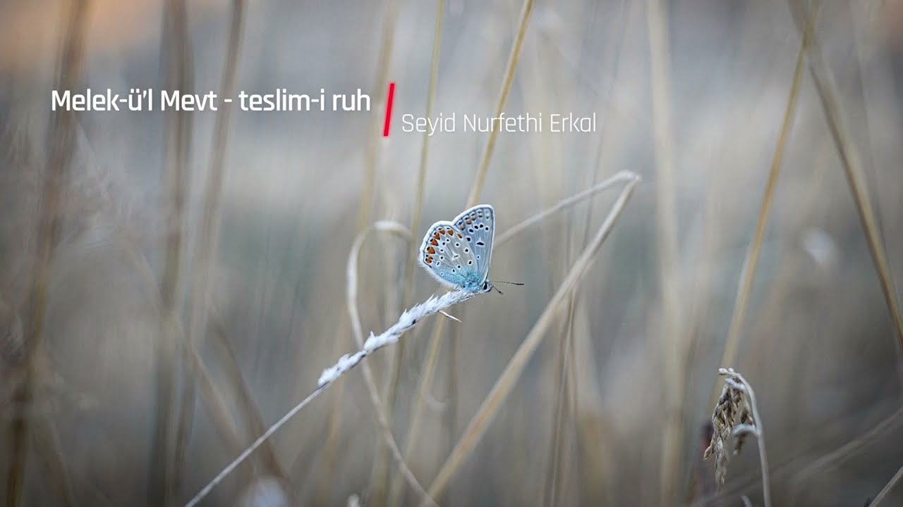 MELEK-ÜL MEVT / TESLİM-İ RUH - Şiir ve Seslendiren: Seyid Nurfethi Erkal