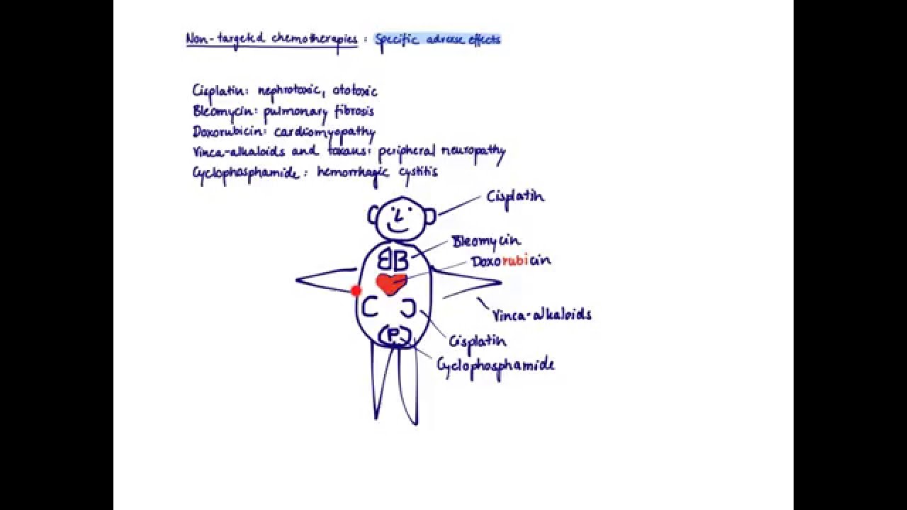 Brandl's Basics: Adverse effects of non-targeted (classic) chemotherapeutic agents