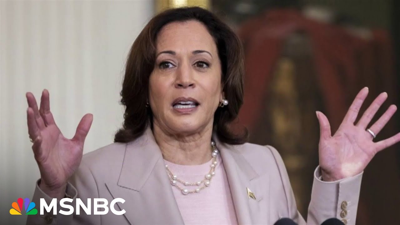 ‘MAGA world in MEGA-meltdown mode’: Republicans resort to ugly attacks against VP Kamala Harris