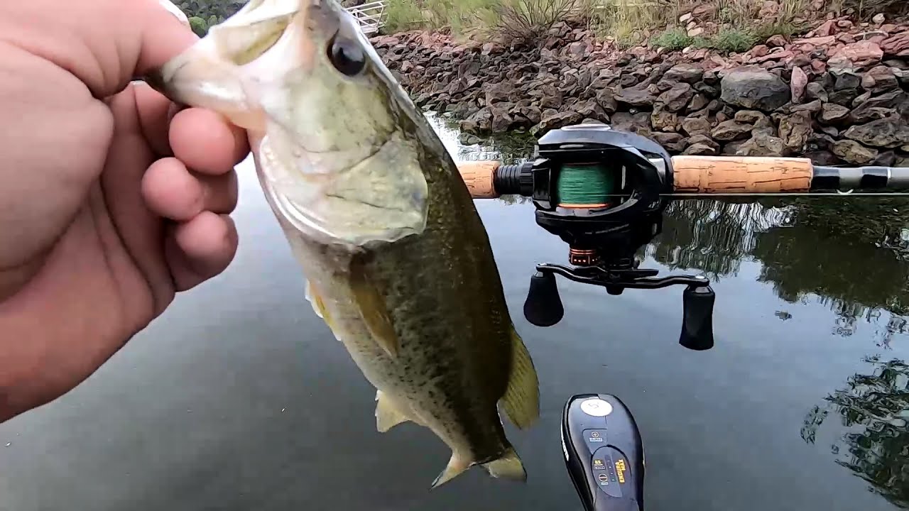 Fishing My New Bait Finesse System  (BFS) With KastKing Zephyr Reel -This is Awesome!!