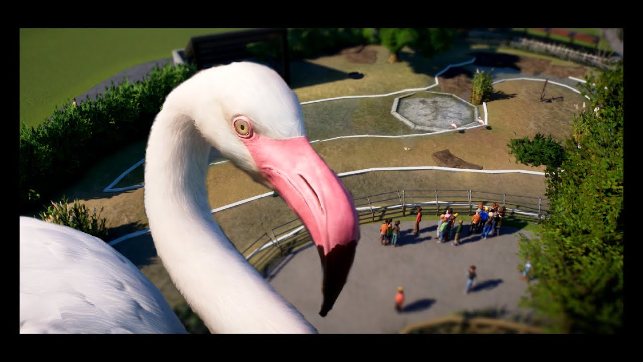 Greater Flamingo Habitat and expanding the entrance | Thorton Hills Zoo | Planet Zoo