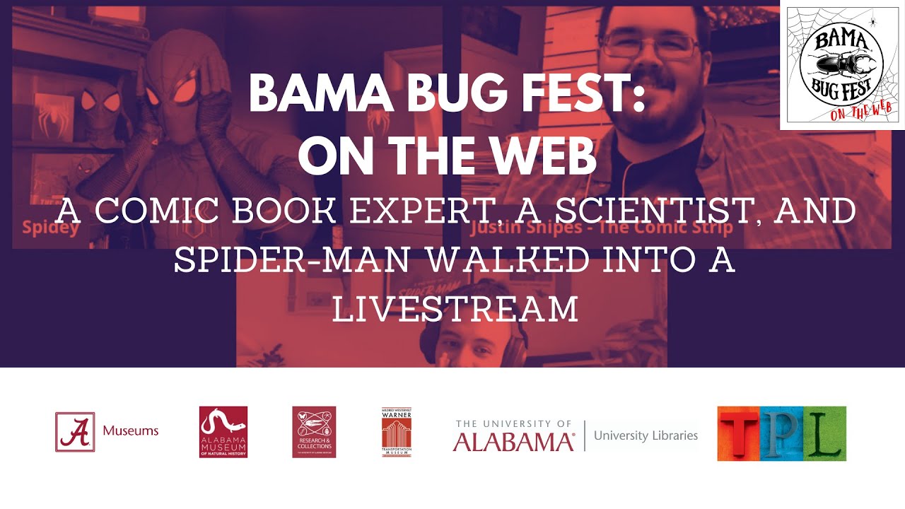 Bama Bug Fest: On the Web - Spider-Man and Real World Spiders