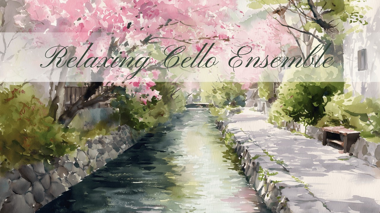 【1/fゆらぎ】静かな京都の春に響く、やわらかな弦の時間 | Gentle Strings in a Quiet Kyoto Spring
