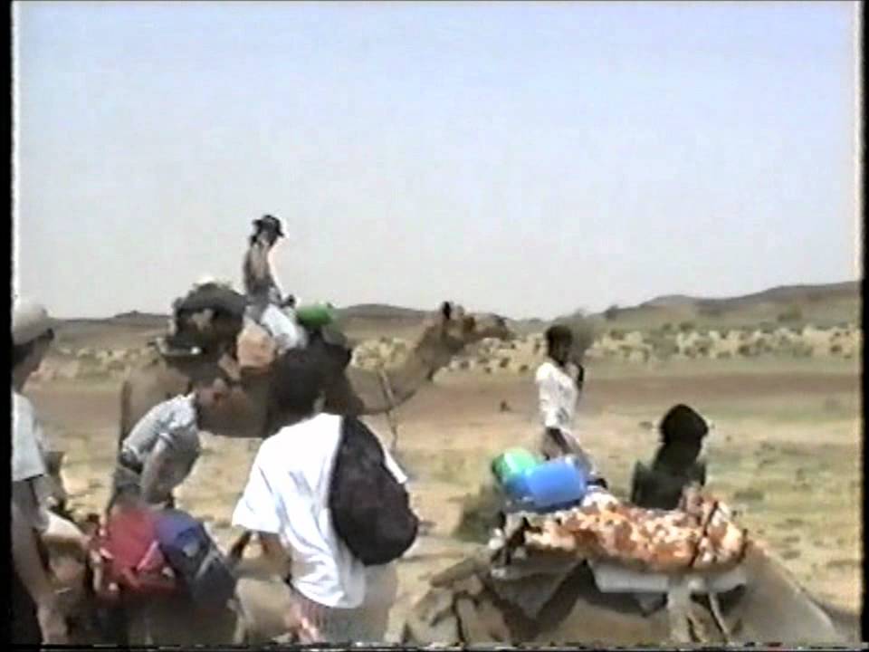 Camel ride in the Thar desert, Rajasthan INDIA