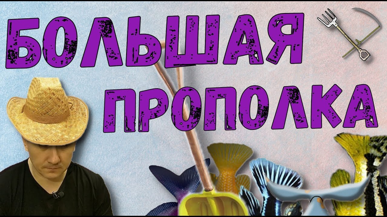 Обзорный ролик / Цихлиды / Цинотиляпия Галлирея Риф / Снежный принц / Аулонокары / Еллоу