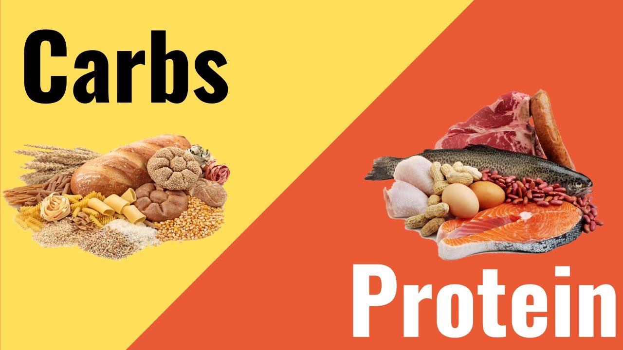 Carbs or Protein? Where does a tennis player need to focus more ? Ryan Fernando