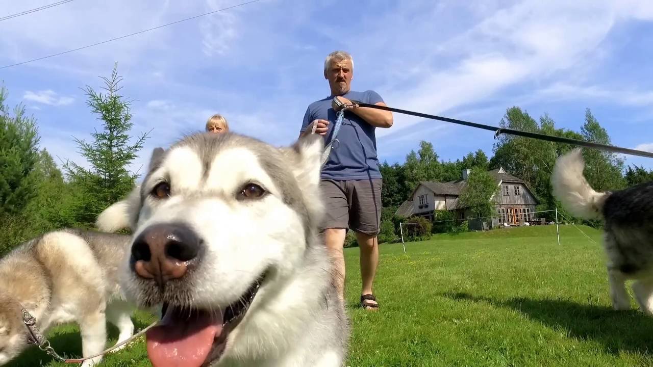 Agroturystyka na Suwalszczyźnie - Siedlisko Klangor - Tasty Places