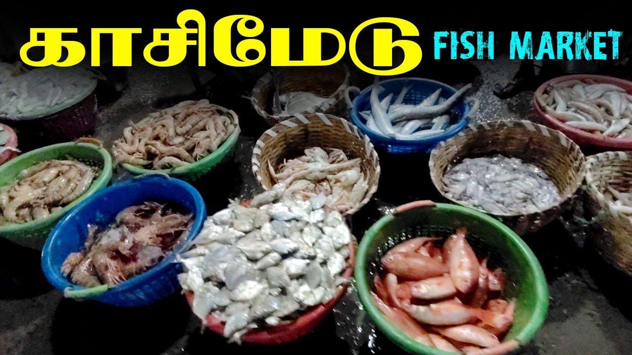 Inside Kasimedu Fish Market at 4 AM | Farm Fresh Meats Vlog | Daily fresh fish