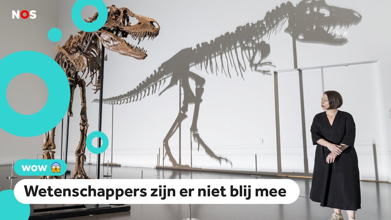 Zeldzaam dinosaurusskelet voor 6,1 miljoen verkocht