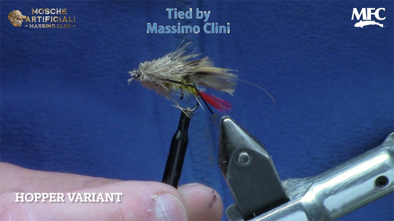 Costruzione Hopper Variant | La Cavalletta 