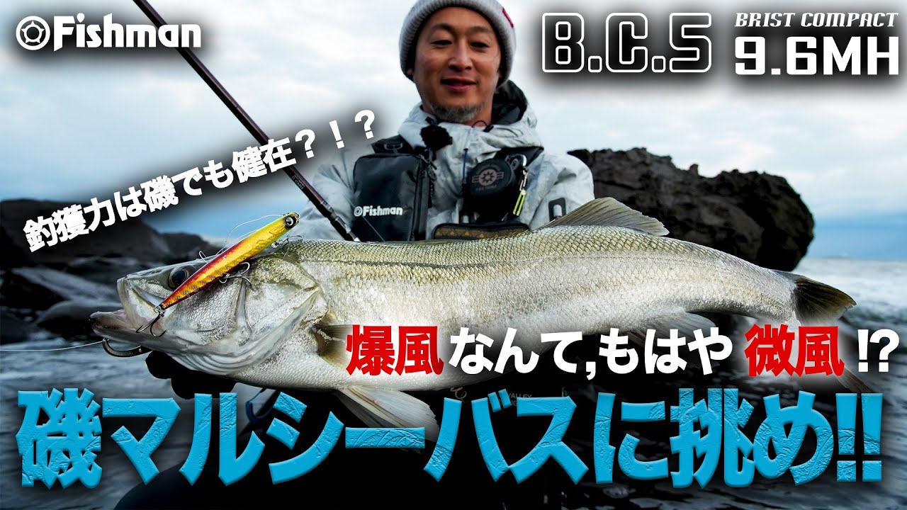 爆風なんて、もはや微風！？日本海冬の磯マルシーバスに挑め！！