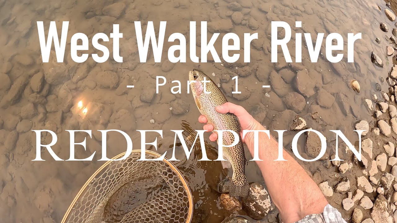 West Walker River, Part 1 - Redemption