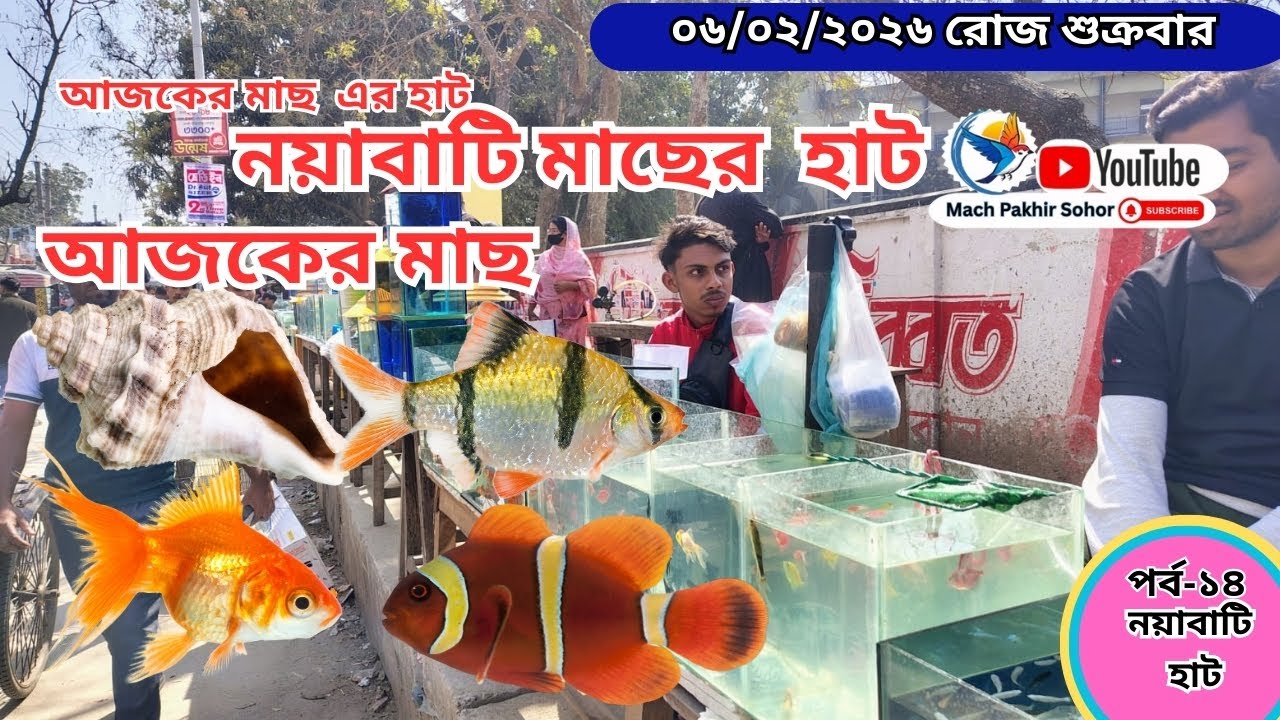 সবথেকে বড় মাছের হাট পর্ব-১৪ Largest #aquariumfishmarket #fish market #khulna ,নয়াবাটি , খুলনা