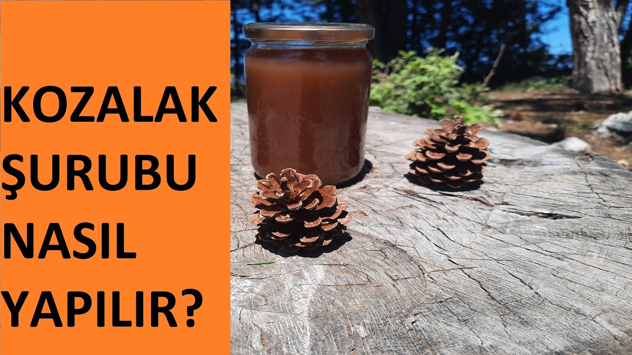 Kozalak Şurubu Yapımı | Kırsalda Yaşam