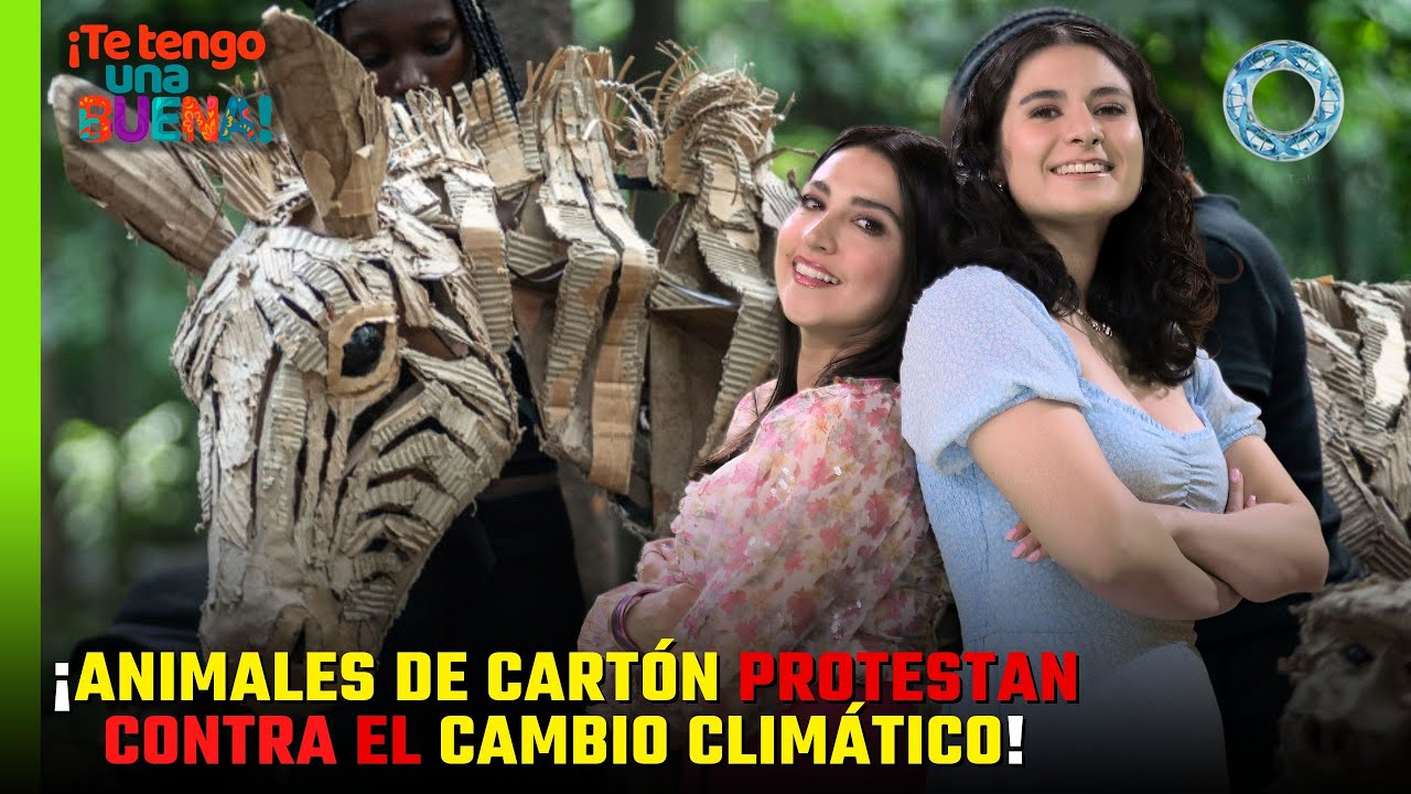 ¡Animales de cartón protestan CONTRA EL CAMBIO CLIMÁTICO!