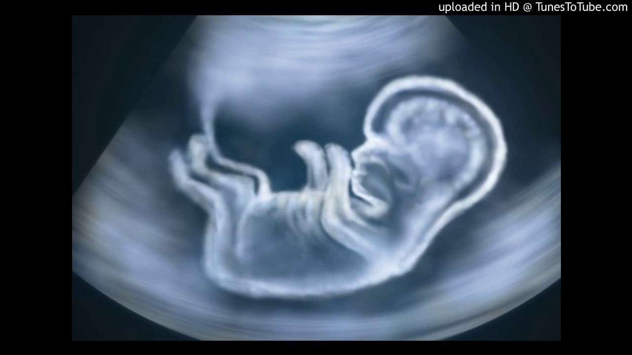 Otkucaji srca bebe u utrobi majke (prenatal baby heart beat)