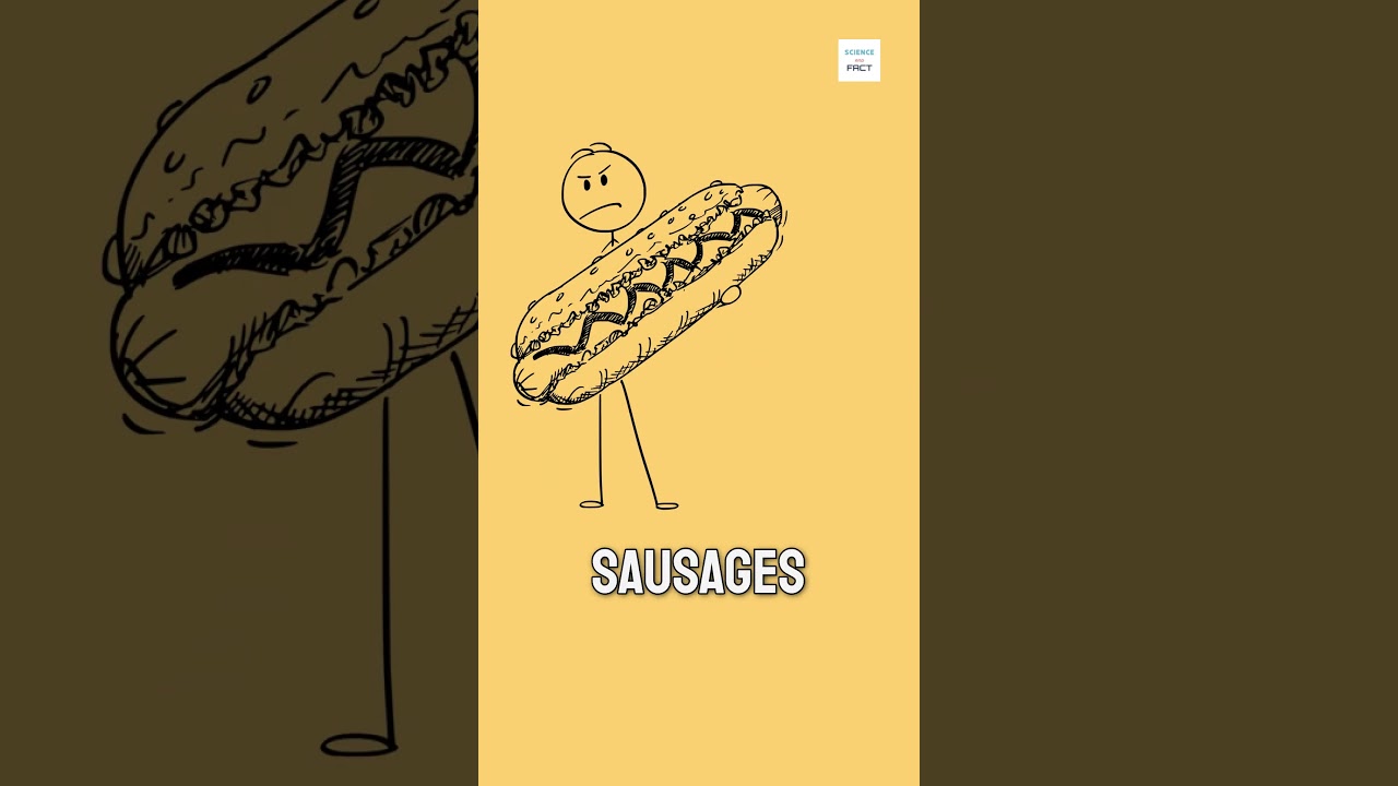 Why it is called HOT DOG?