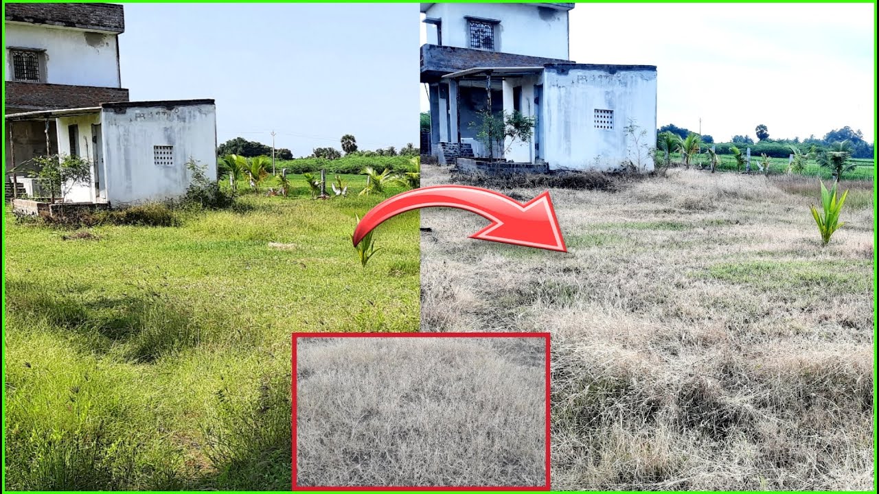 Glyphosate 41% SL | Dhanuka Noweed Herbicide | Use in Farm | #ngftamil
