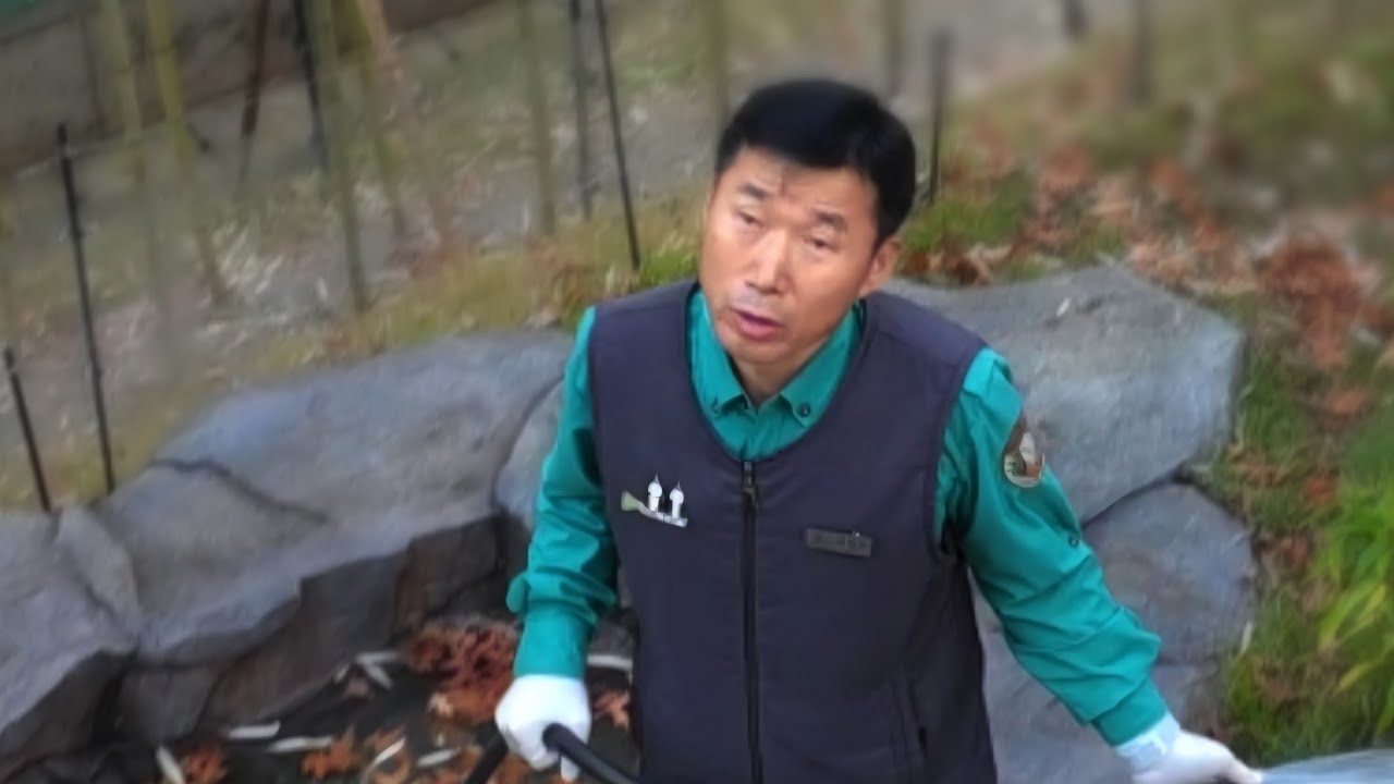 강바오님 에게 할부지 라고 했더니 ♡ 그냥 틀어 놓으세요 마음이 행복해 져요 