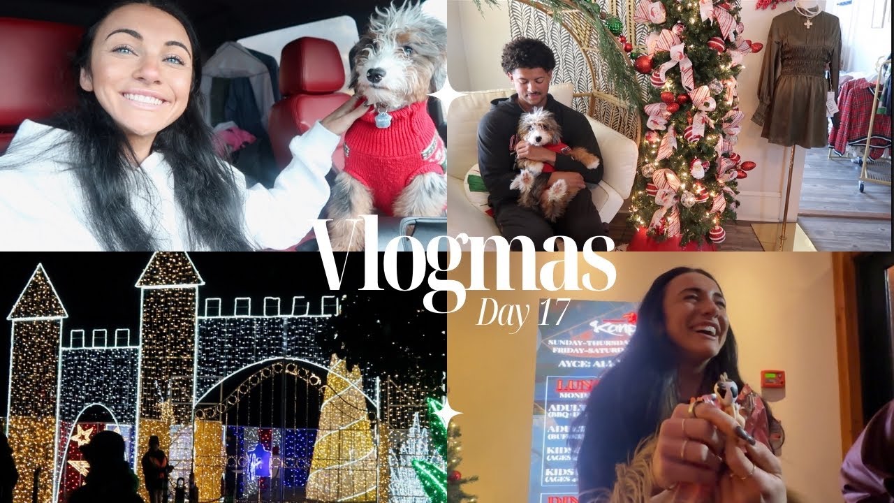VLOGMAS 17 | roadtrip w/ us to Maryland! Zoo lights, new jacket, korean bbq, my first sonny angel!