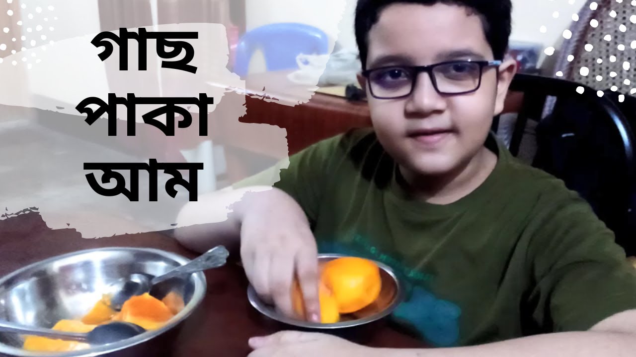 গাছ পাকা আম খেতে হলে চলে আসো রাজশাহী | Grammo Jibon & Jibonzapon
