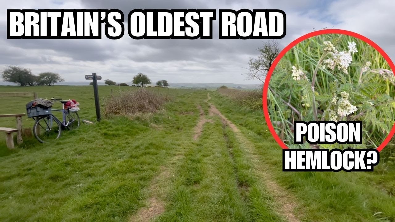 Foraging the Ridgeway for knowledge and sustenance p1