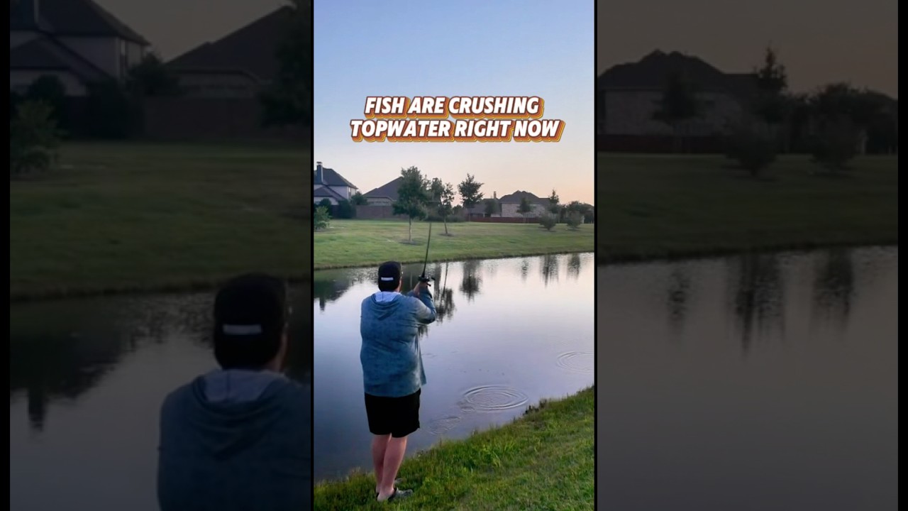 Comment the best topwater lure for summer bass fishing! My pick is a popper!