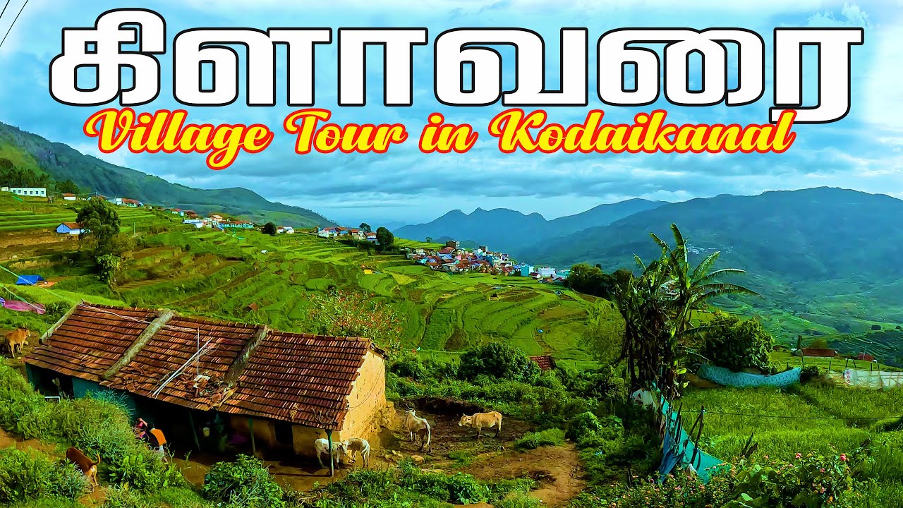 🏡பசுமை சூழ்ந்த கொடைக்கானல் கிராமங்கள் | 🍃Village Beauty of Kodaikanal | Explore Kodaikanal Villages