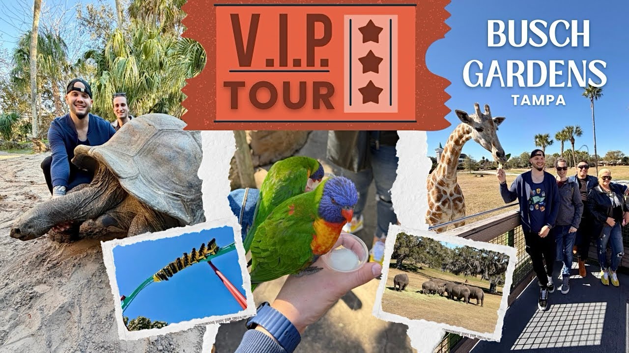 Busch Gardens ELITE VIP Tour [FULL DAY experience] Tampa 