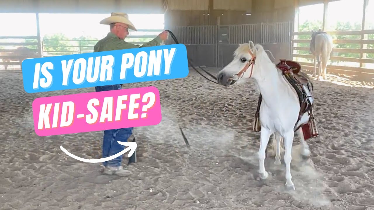 Is Your Pony 