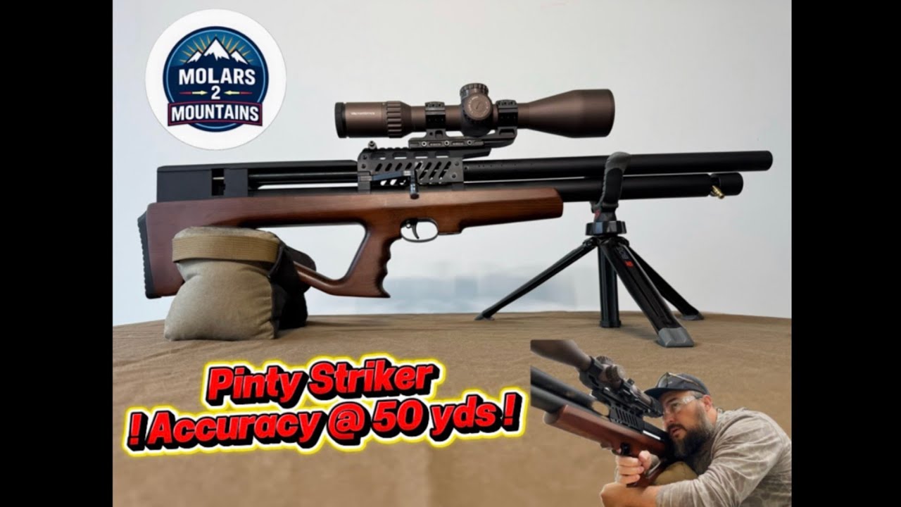 Pinty Striker… How accurate is it @ 50 yards?