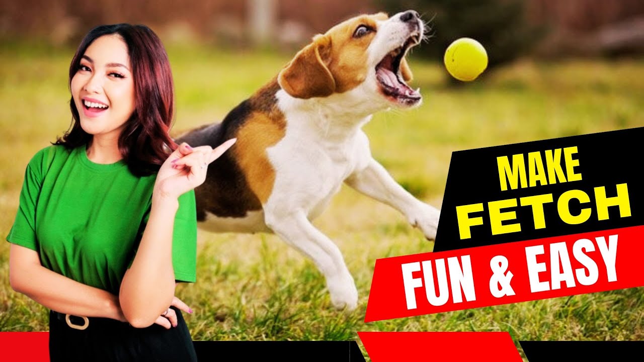 The Secret Method to Teach Your Dog to Fetch Every Time