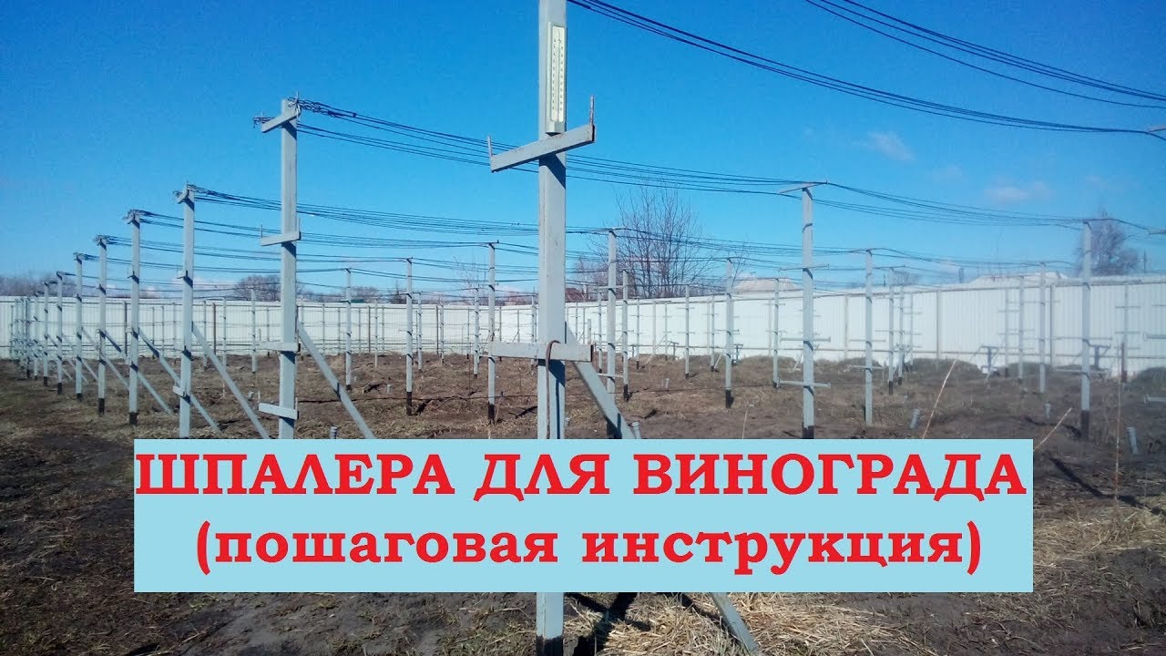 Отличная двухплоскостная, металлическая  шпалера для винограда своими руками / grape trellis