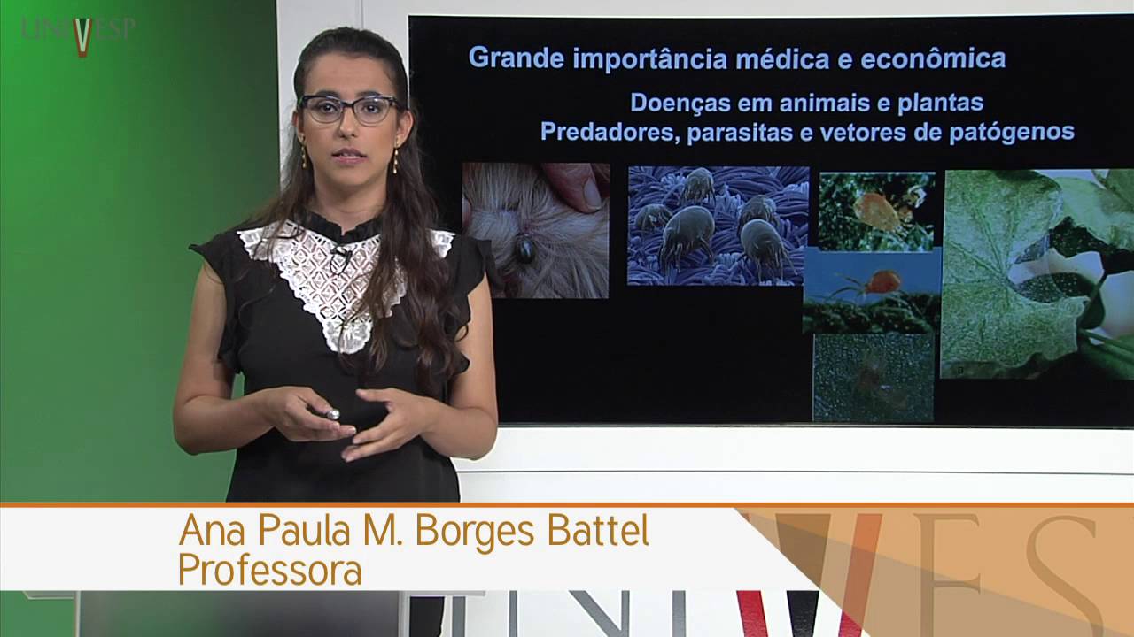 Zoologia de Invertebrados - Aula 20 -  Filo Arthropoda Trilobitomorpha e Cheliceriformes