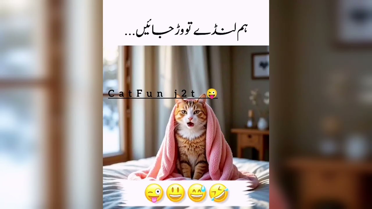 #catfun j2t 😜 dasi comedy 😄 Hum Landy to warjay