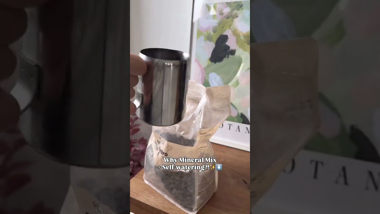 Mineral Substrate And Self Watering Pots 🌱 #shorts