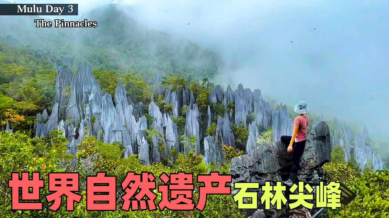 世界自然遗产【Mulu山国家公园 • 砂劳越 】