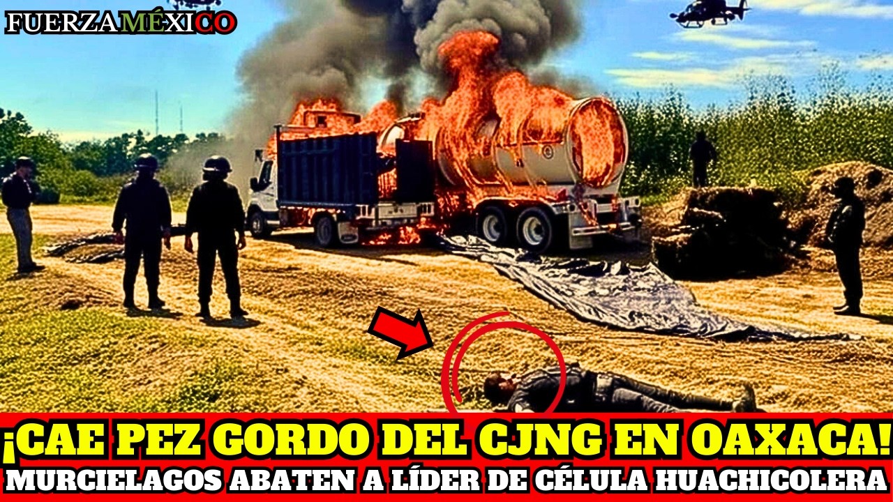 GOLPE al CJNG en OAXACA: CAE LÍDER de CÉLULA HUACHICOLERA que USABA TRANSPORTISTAS como FACHADA
