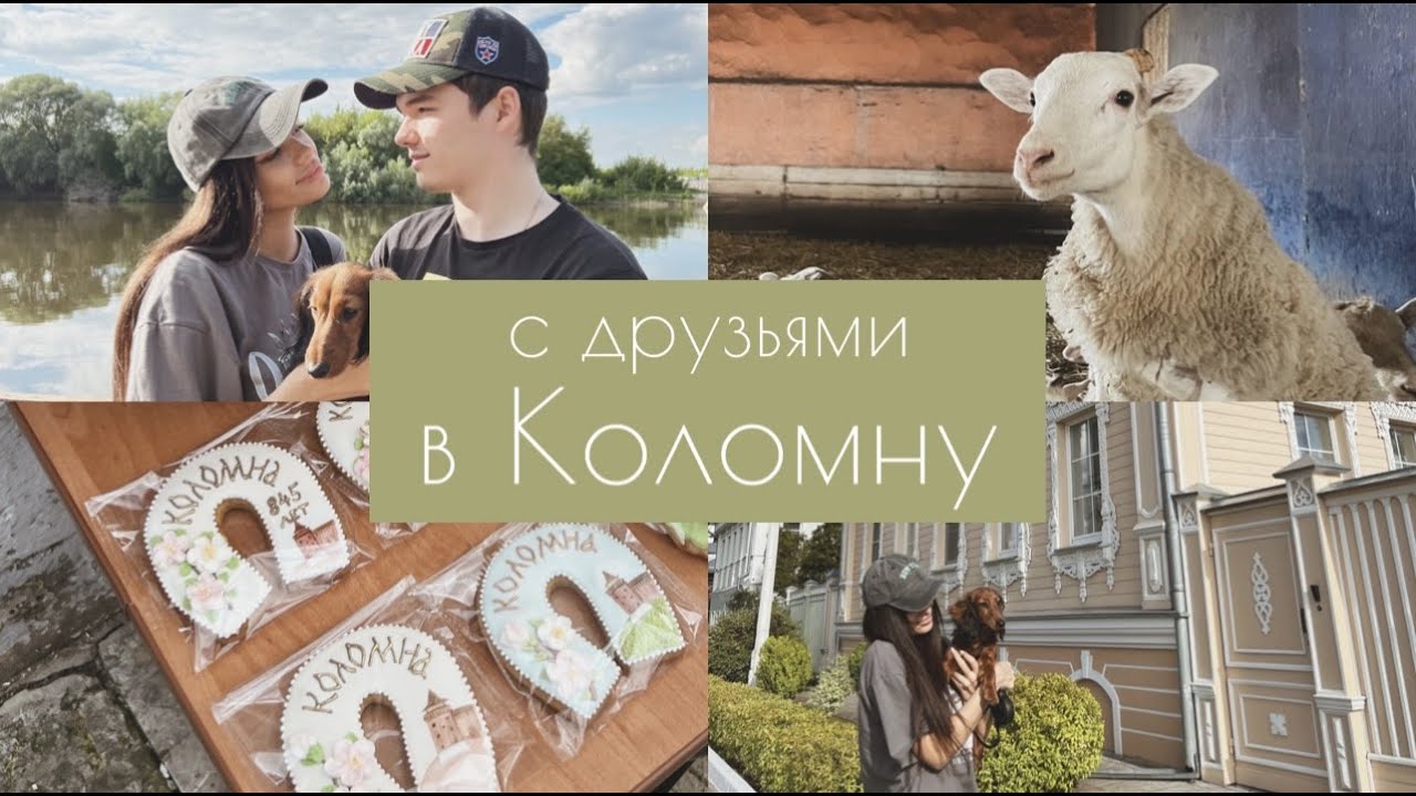 ГУЛЯЕМ В КОЛОМНЕ | ПРИЕХАЛИ В ЗООПАРК | ПАРК АТТРАКЦИОНОВ | ВЫХОДНЫЕ С ДРУЗЬЯМИ |