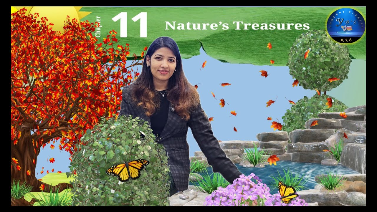 Nature's Treasure | One Shot | Class 6 Chapter 11