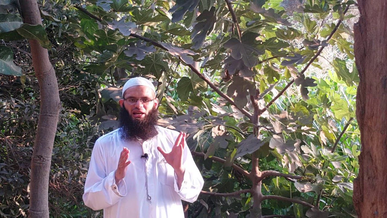 أخطر أسباب الطلاق و الإختلافات الأسرية للشيخ / أحمد عبدالله أبو النصر