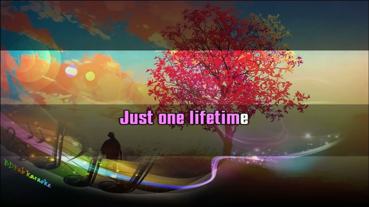 Sting feat. Shaggy - Just One Lifetime (chœurs) (2019) [BDFab karaoke]