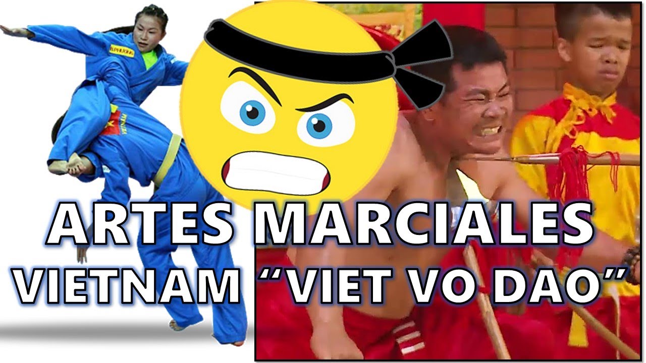 EL LETAL ARTE MARCIAL de Vietnam (Vovinam Viet Vo Dao el arte de las TIJERAS Voladoras)