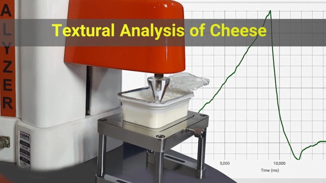 Textural Analysis of Cheese | Food Texture Analyzer KOOPA