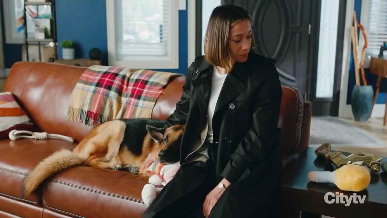 Things rex does while under house arrest but Sarah checks up on him.