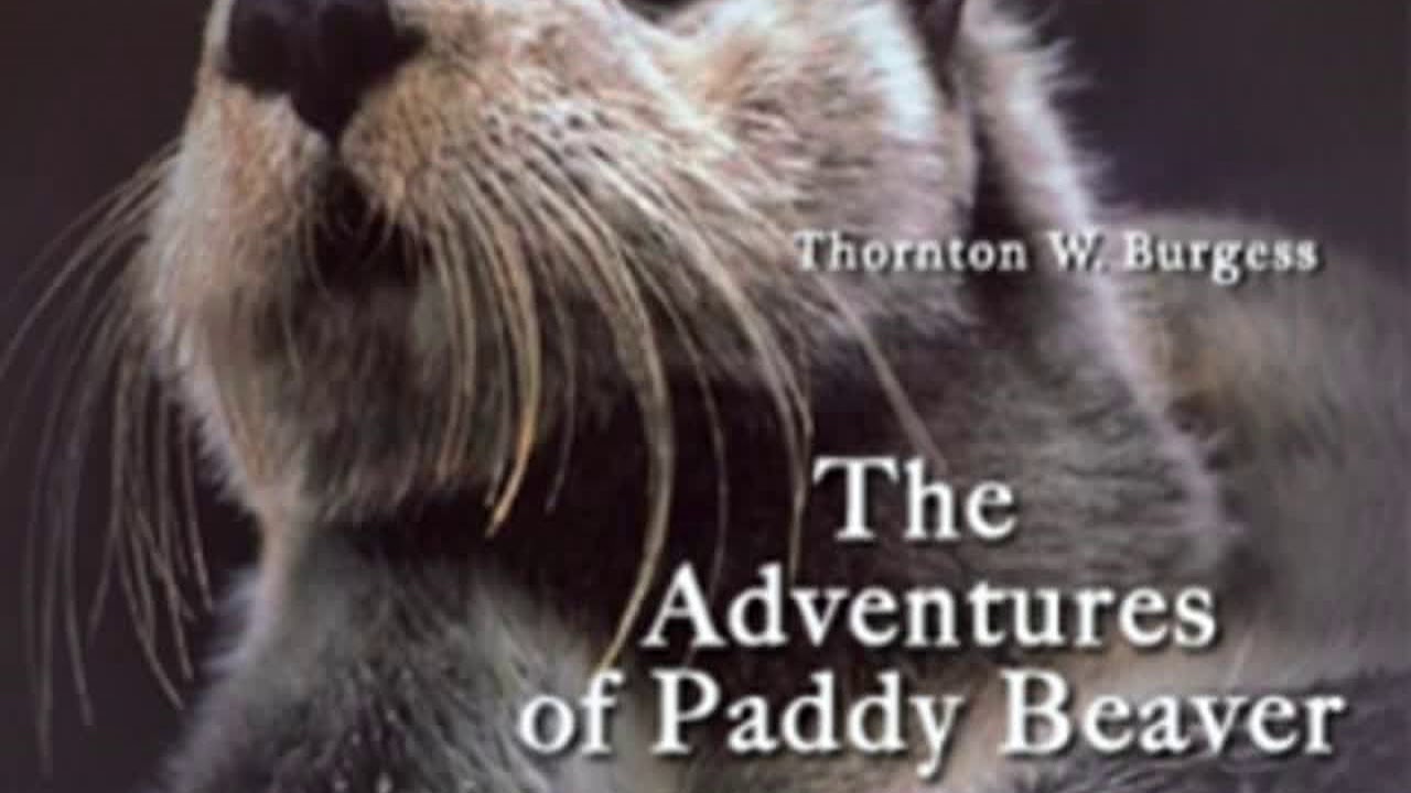 The Adventures of Paddy Beaver by Thornton W. BURGESS read by John Lieder | Full Audio Book