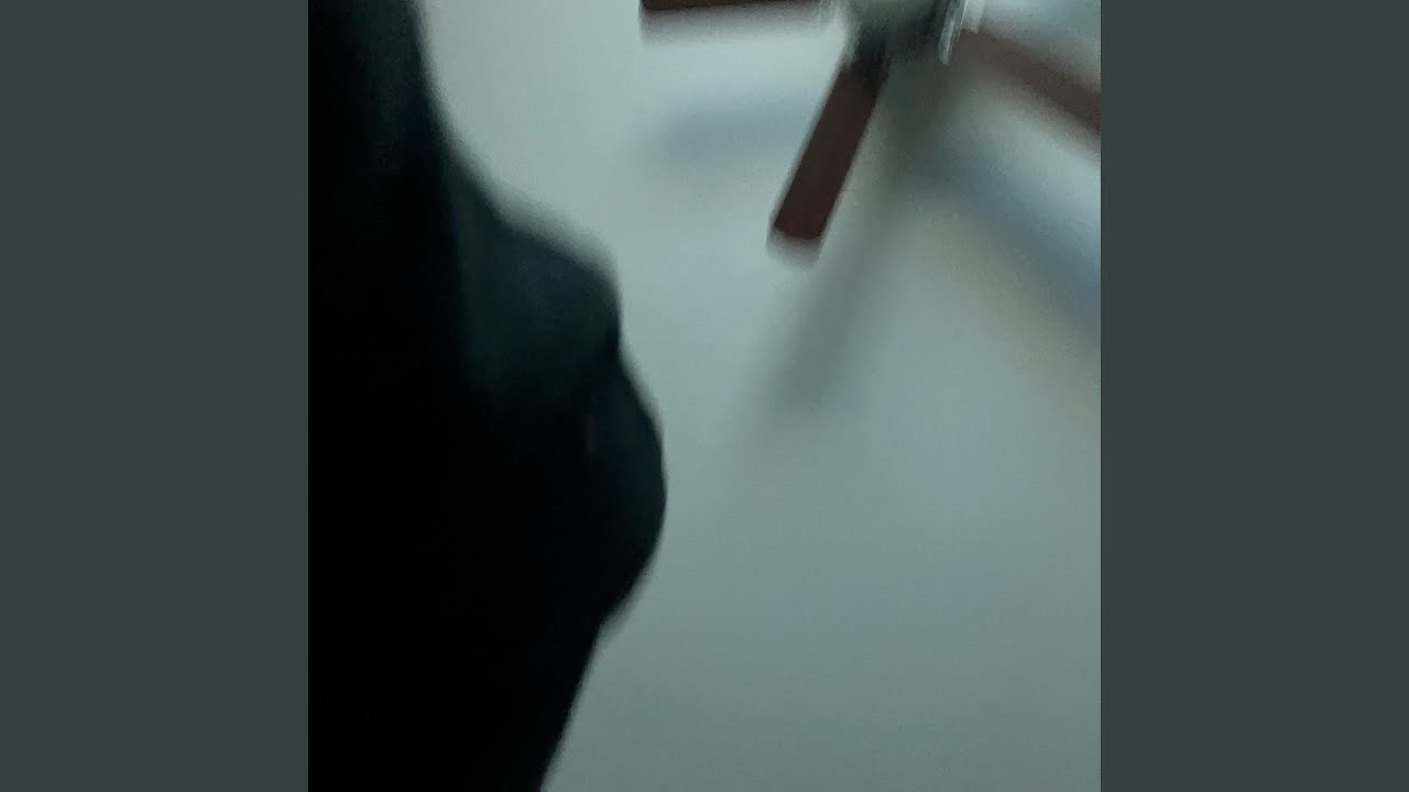 Fly