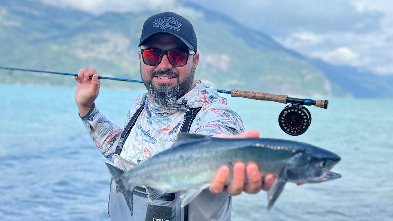 Catch and release pink salmon on the fly fishing