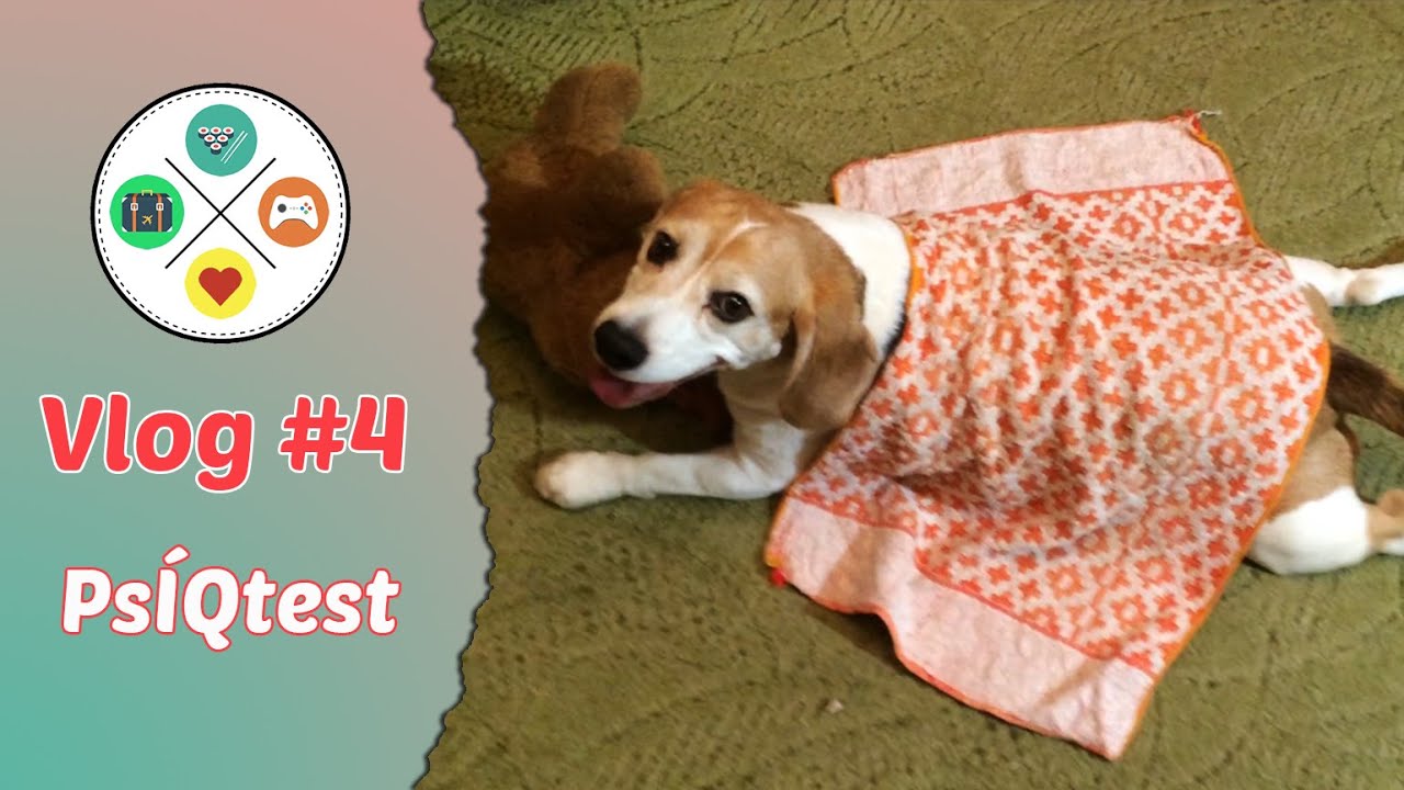 Vlog #4: Ps&Iacute;Qtest