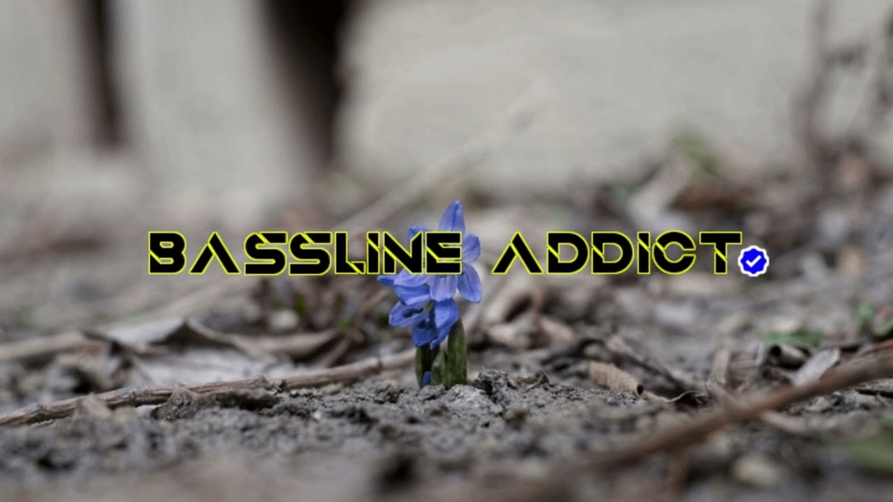 DJ Rebz - Shake Ya Bumpa│BasslineAddict